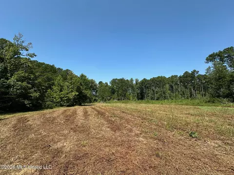 Ms-25, Brandon, MS 39047 photo 22