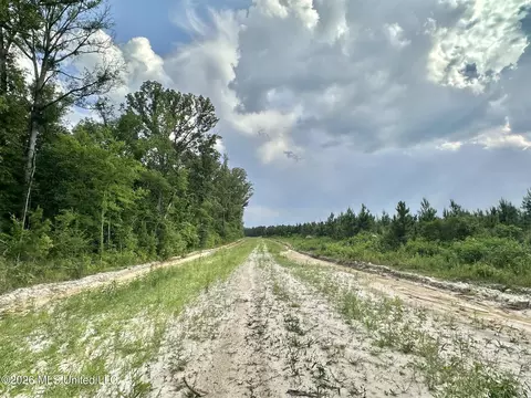 Ms-25, Brandon, MS 39047 photo 68