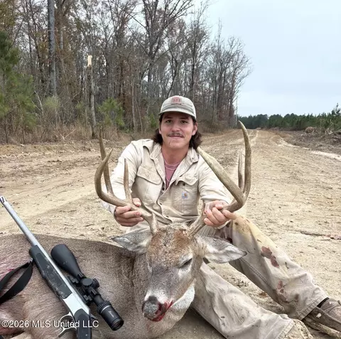 Ms-25, Brandon, MS 39047 photo 72