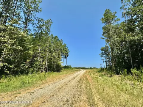 Ms-25, Brandon, MS 39047 photo 11