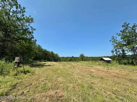 Ms-25, Brandon, MS 39047 photo 14