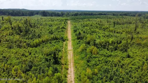 Ms-25, Brandon, MS 39047 photo 41