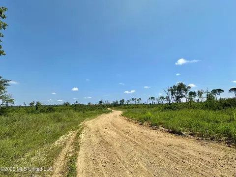 Ms-25, Brandon, MS 39047 photo 26