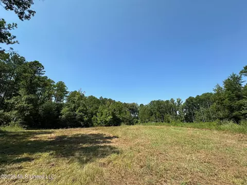 Ms-25, Brandon, MS 39047 photo 21