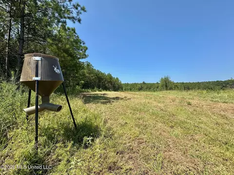 Ms-25, Brandon, MS 39047 photo 15