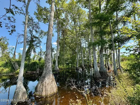 Ms-25, Brandon, MS 39047 photo 38