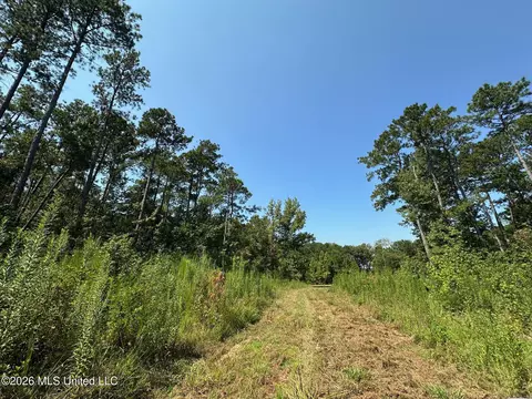 Ms-25, Brandon, MS 39047 photo 20