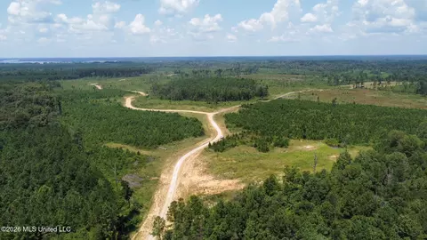 Ms-25, Brandon, MS 39047 photo 65