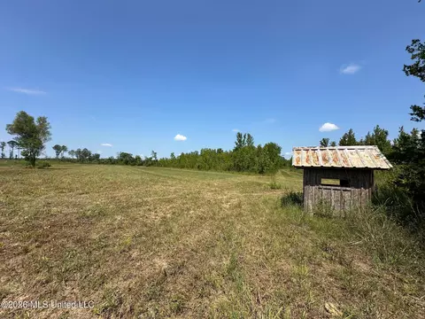 Ms-25, Brandon, MS 39047 photo 28