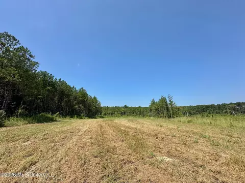 Ms-25, Brandon, MS 39047 photo 16