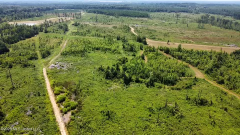 Ms-25, Brandon, MS 39047 photo 50