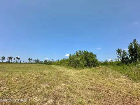 Ms-25, Brandon, MS 39047 photo 31