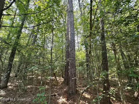 Ms-25, Brandon, MS 39047 photo 23