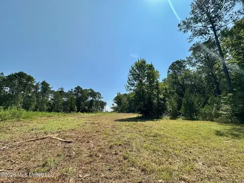 Ms-25, Brandon, MS 39047 photo 24