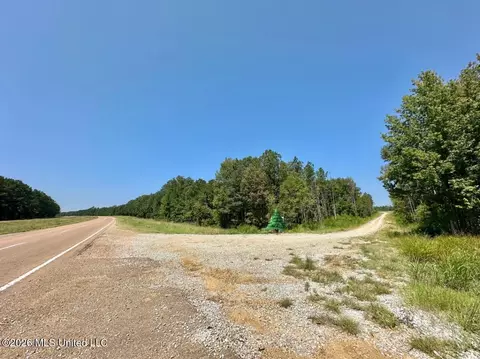 Ms-25, Brandon, MS 39047 photo 17