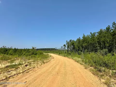 Ms-25, Brandon, MS 39047 photo 13