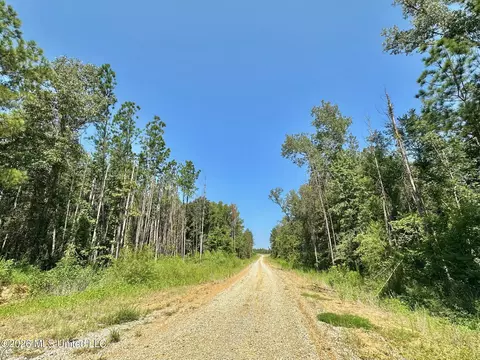 Ms-25, Brandon, MS 39047 photo 10