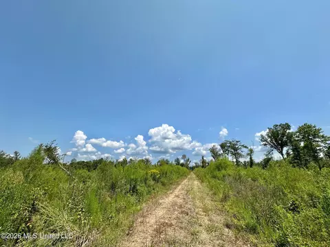 Ms-25, Brandon, MS 39047 photo 40