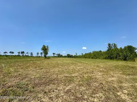 Ms-25, Brandon, MS 39047 photo 30
