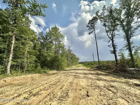 Ms-25, Brandon, MS 39047 photo 67