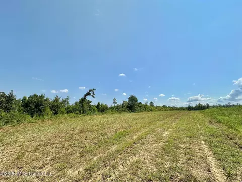 Ms-25, Brandon, MS 39047 photo 27