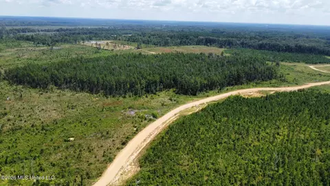 Ms-25, Brandon, MS 39047 photo 60