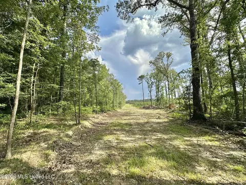 Ms-25, Brandon, MS 39047 photo 66