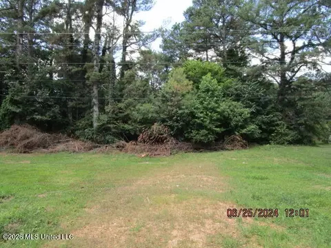 N Stage Road, Coldwater, MS 38618 photo 2