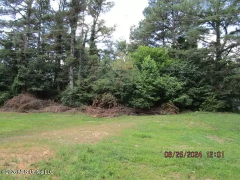 N Stage Road, Coldwater, MS 38618 photo 3