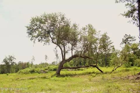 24 48ac River Rd, Lucedale, MS 39452