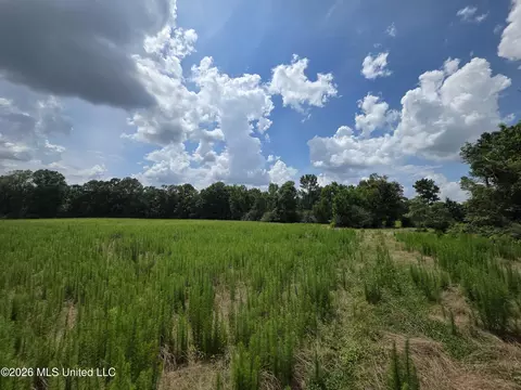 2132 Busby Trl, Brookhaven, MS 39601 photo 26