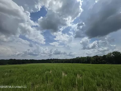 2132 Busby Trl, Brookhaven, MS 39601 photo 20