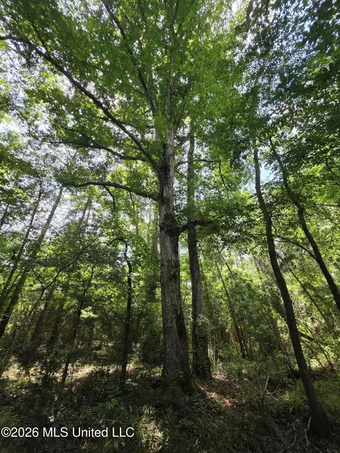 2132 Busby Trl, Brookhaven, MS 39601 photo 24