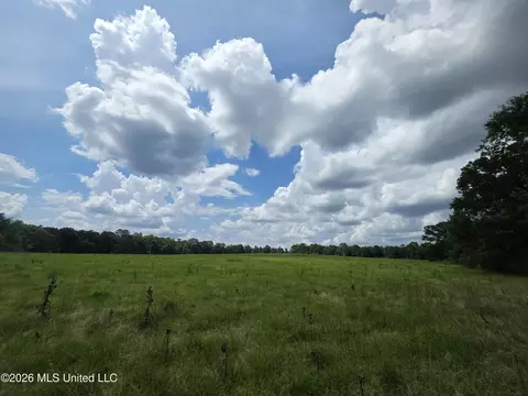 2132 Busby Trl, Brookhaven, MS 39601 photo 9