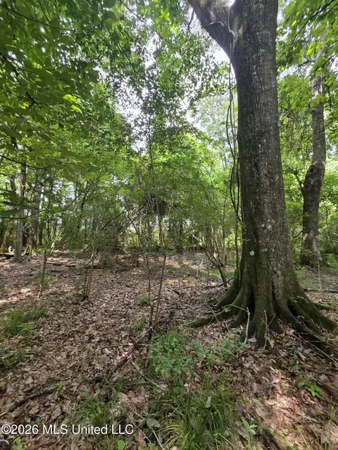2132 Busby Trl, Brookhaven, MS 39601 photo 11