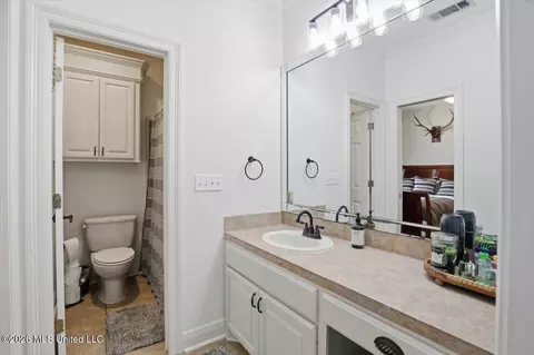 Other - 408 Ashbourn Ct, Madison, MS 39110 photo 14 of 15