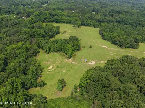 2169 Slocum Rd, Hernando, MS 38632 photo 26