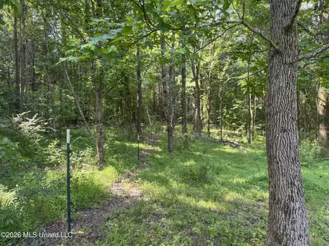 2169 Slocum Rd, Hernando, MS 38632 photo 68