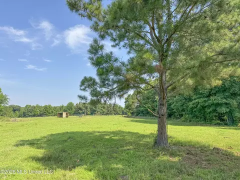 2169 Slocum Rd, Hernando, MS 38632 photo 74