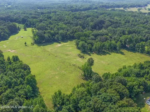 2169 Slocum Rd, Hernando, MS 38632 photo 29