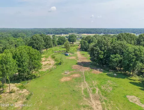2169 Slocum Rd, Hernando, MS 38632 photo 44