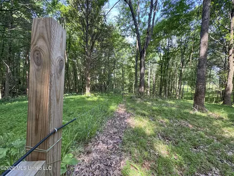 2169 Slocum Rd, Hernando, MS 38632 photo 71