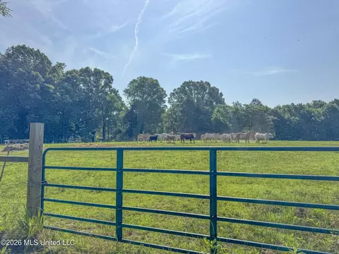 2169 Slocum Rd, Hernando, MS 38632 photo 57