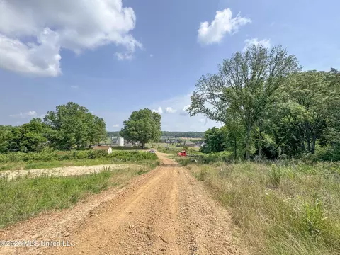 2169 Slocum Rd, Hernando, MS 38632 photo 93