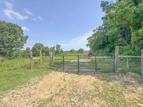2169 Slocum Rd, Hernando, MS 38632 photo 88