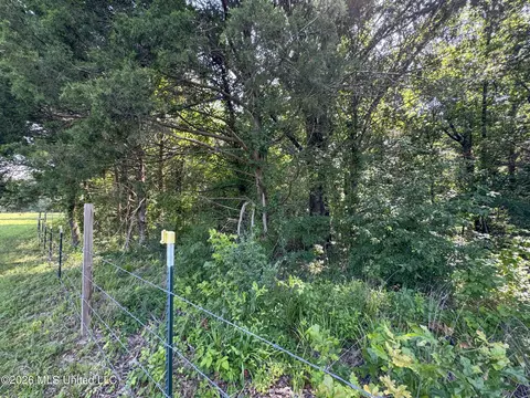 2169 Slocum Rd, Hernando, MS 38632 photo 80
