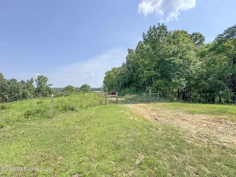 2169 Slocum Rd, Hernando, MS 38632 photo 86