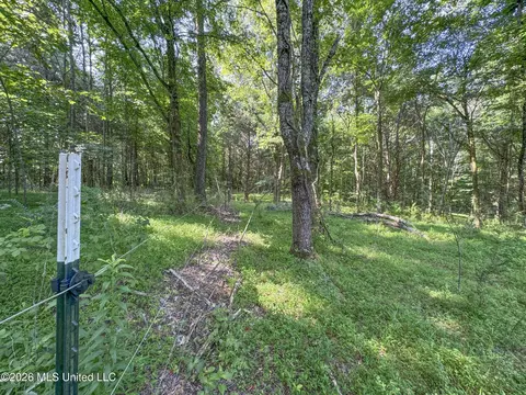 2169 Slocum Rd, Hernando, MS 38632 photo 69