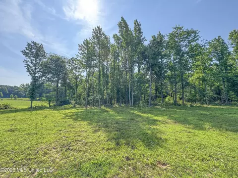 2169 Slocum Rd, Hernando, MS 38632 photo 61