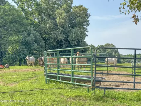 2169 Slocum Rd, Hernando, MS 38632 photo 51